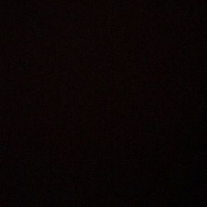 Meet your Posher, Armando